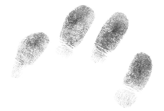 fingerprints
